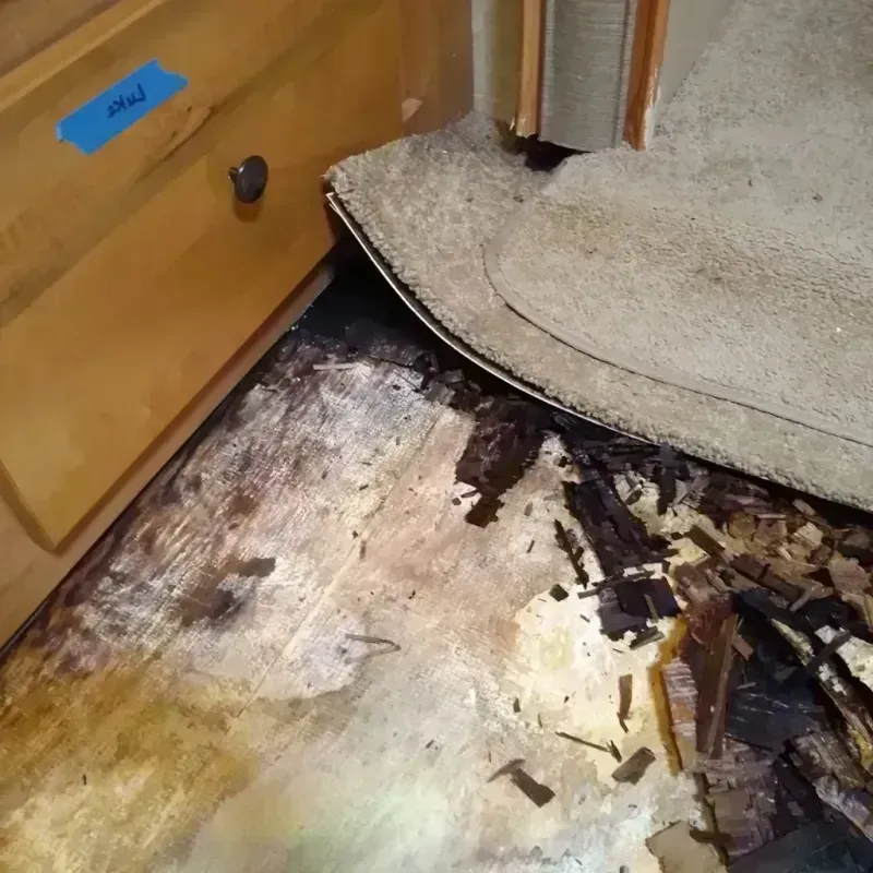 Best Wood Floor Water Damage Service in South Alamo, TX